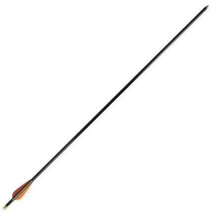 vidaXL Standard Compound Bow Arrows 30" 0.8 cm Fiberglass 12 pcs
