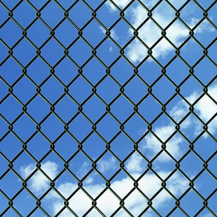 vidaXL Chain Link Fence with Posts Spike Steel 1.5x25 m