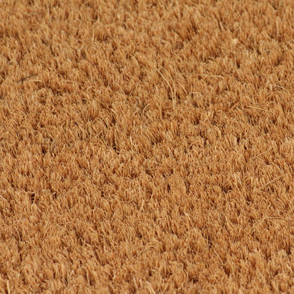 Doormats 2 pcs Coir 24 mm 40x60 cm Natural