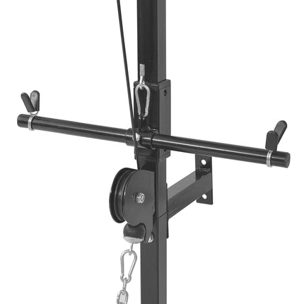 vidaXL Wall-mounted Power Tower with Weight Plates 40 kg